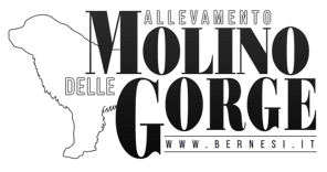 7c3d99b334b200d633706cf091d7a577e5803fd3