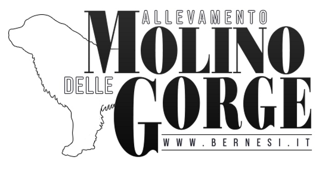 7c3d99b334b200d633706cf091d7a577e5803fd3