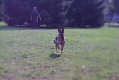 34648fc16429a09dcae098127187349571522f28.jpeg 34648fc16429a09dcae098127187349571522f28.jpeg