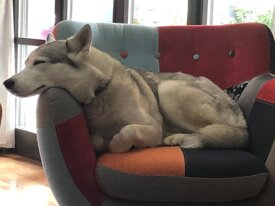 593f200e821cf0ef941f0c0a5664e29a2ac03b44 593f200e821cf0ef941f0c0a5664e29a2ac03b44