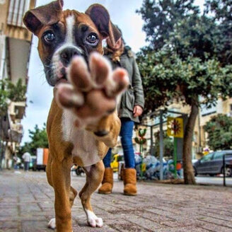 f9f51467ea49d91c3b75fda26dba4ac47c9cb4b1 f9f51467ea49d91c3b75fda26dba4ac47c9cb4b1