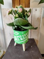 cachepot-treppiedi-verde-con-scritta