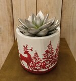 vaso-cemento-porta-pianta