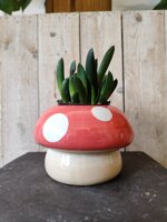 cachepot-fungo-rosso