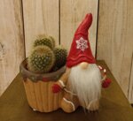 vaso-porta-piante-gnomo-piccolo