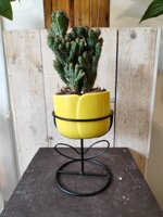 cachepot-tulipano-giallo-grande