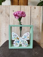 farfalla-verde-con-dedica