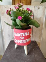 cachepot-treppiede-rosa-con-scritta