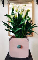 cassetto-rosa