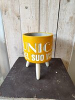 cachepot-treppiedi-giallo-con-scritta
