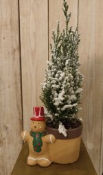 vaso-porta-piante-omino-pan-di-zenzero