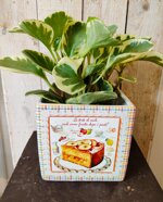 cachepot-ricetta-multicolor