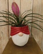 vaso-porta-piante-babbo-natale