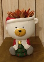 orsetto-porta-pianta