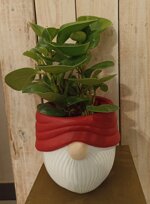 porta-piante-babbo-natale