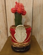 vaso-cappello-schiaccianoci-rosso