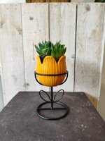 cachepot-tulipano-arancio-piccolo