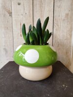 cachepot-fungo-verde