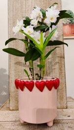 cachepot-con-cuoricini