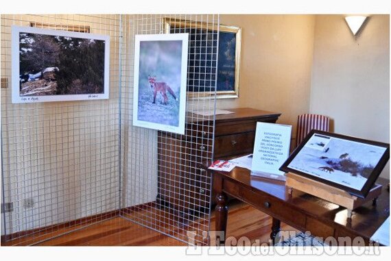 mostra batti gaj animali 1.jpeg mostra batti gaj animali 1.jpeg