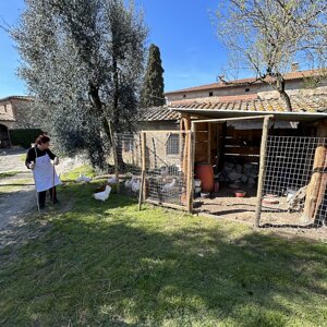 cb27091d47dc192b045a53635752f16ebba3e905