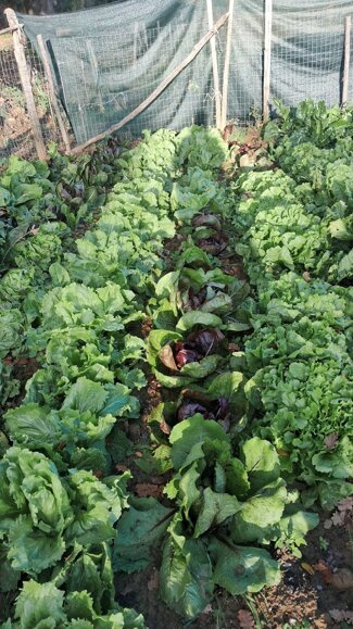 whatsapp image 2026-01-03 at 14.49.12.jpeg