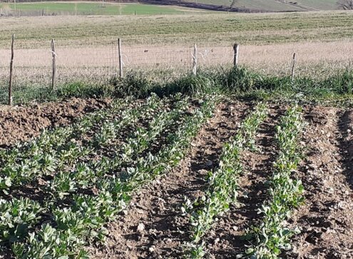 7f5c05fee949a1721cb55c8e5d1f870fee43b6dc