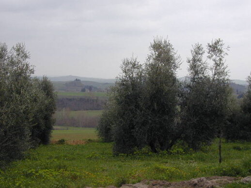 9cae73e86caf61802540915c5c5c5e041bde069e