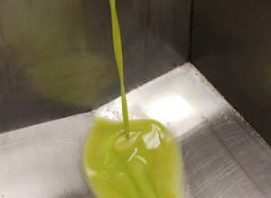 9cae73e86caf61802540915c5c5c5e041bde069e