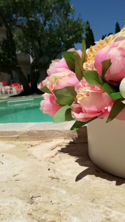 img-20180718-wa0166 img-20180718-wa0166