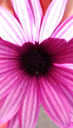 img_20180708_190055 img_20180708_190055