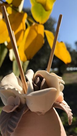 img-20201108-wa0002 img-20201108-wa0002