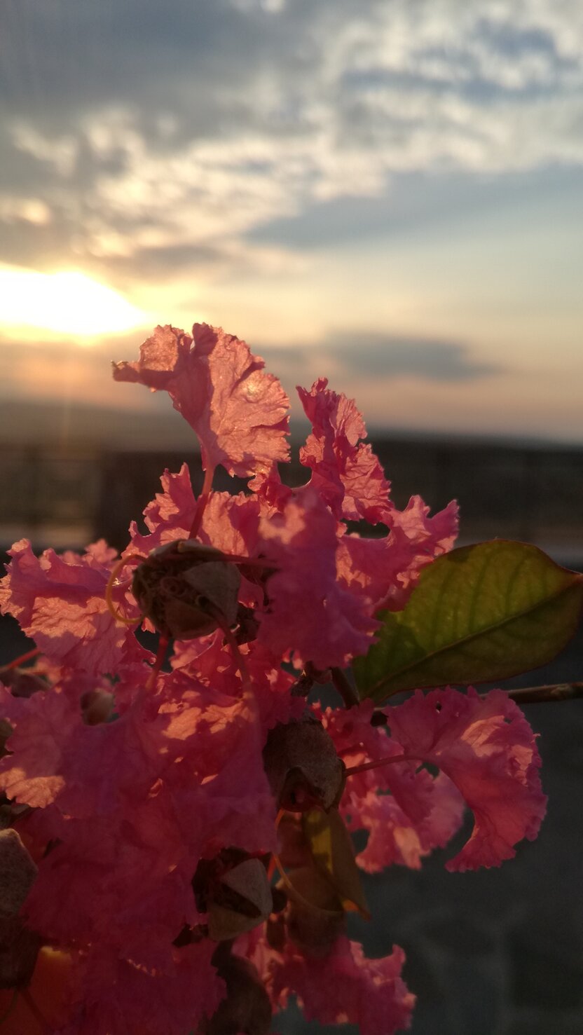 img_20180719_194736.jpeg