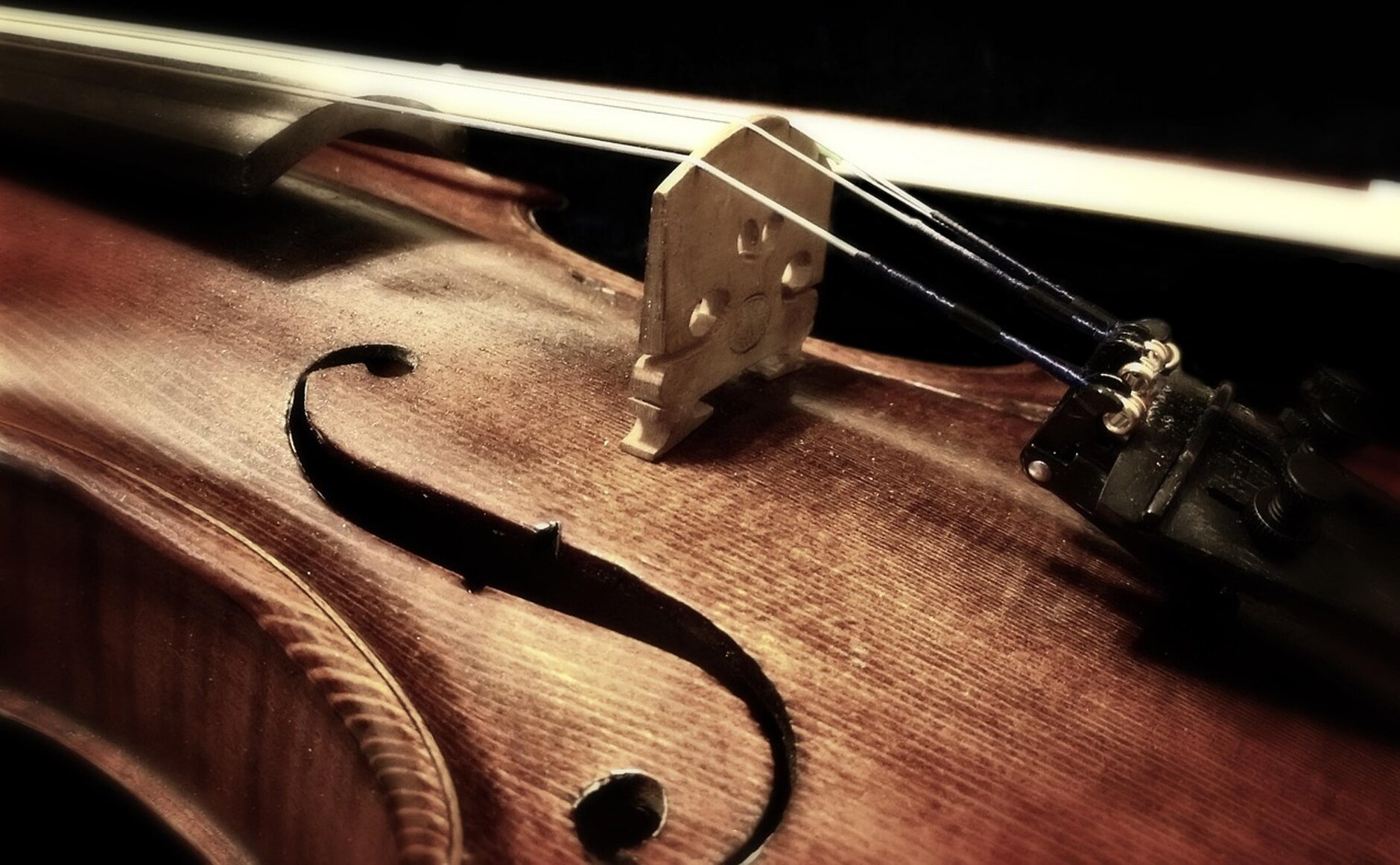 violin.jpeg violin.jpeg