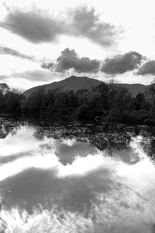 lago bn vert.jpeg