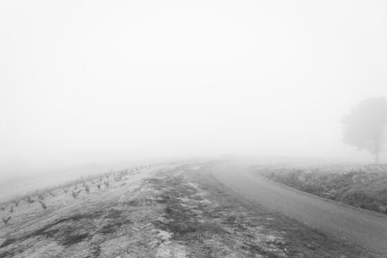 _1000555-1.jpeg _1000555-1.jpeg