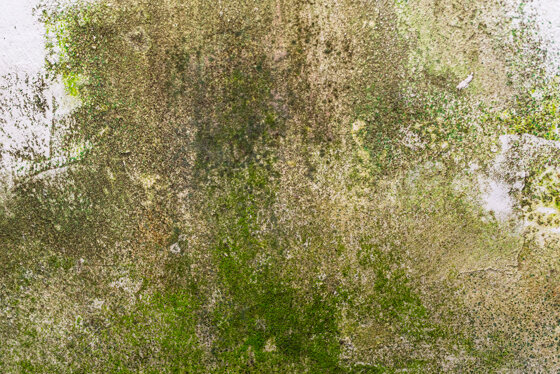 photo-wall-texture-pattern (1).jpeg