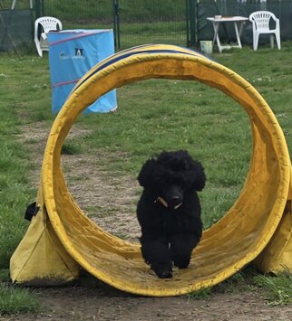 louis tubo.jpeg louis tubo.jpeg