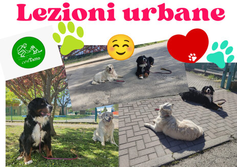 collettvo 4.jpeg collettvo 4.jpeg