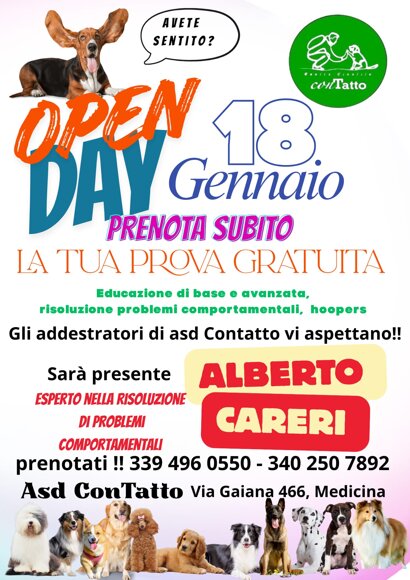 whatsapp image 2025-11-05 at 18.06.37.jpeg whatsapp image 2025-11-05 at 18.06.37.jpeg