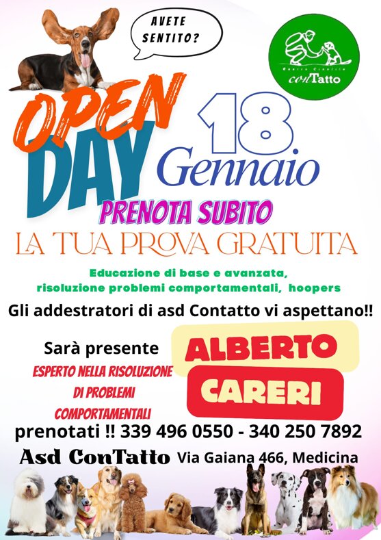 whatsapp image 2025-11-05 at 18.06.37.jpeg