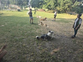 collettivo 2.jpeg collettivo 2.jpeg