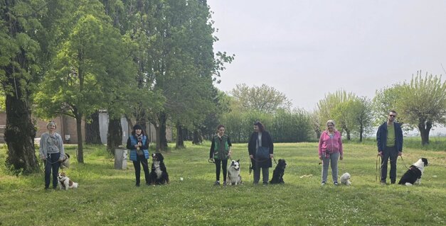 collettivo 3.jpeg collettivo 3.jpeg