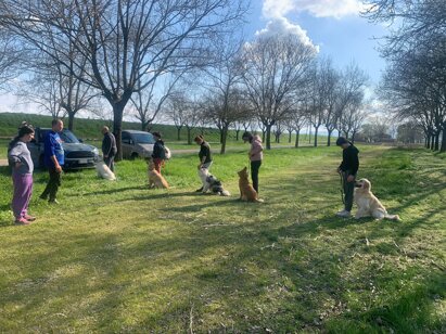 collettivo 5.jpeg collettivo 5.jpeg