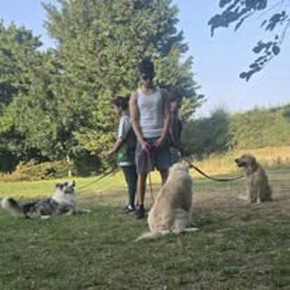 collettivo 1.jpeg collettivo 1.jpeg