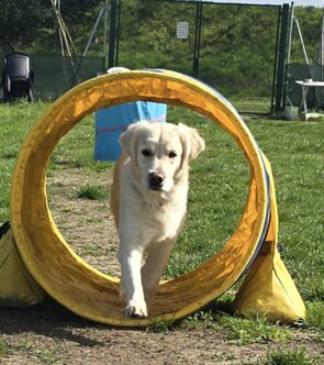 coda tubo.jpeg coda tubo.jpeg