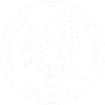 logo nuovo 35x35 bianco