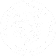 logo nuovo 35x35 bianco