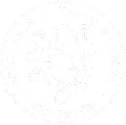 logo nuovo 35x35 bianco