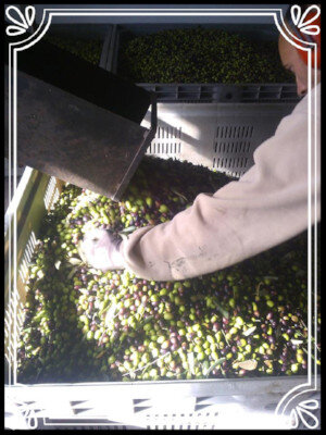 42e7ce682872d928fed980968748f8903b75aa1d